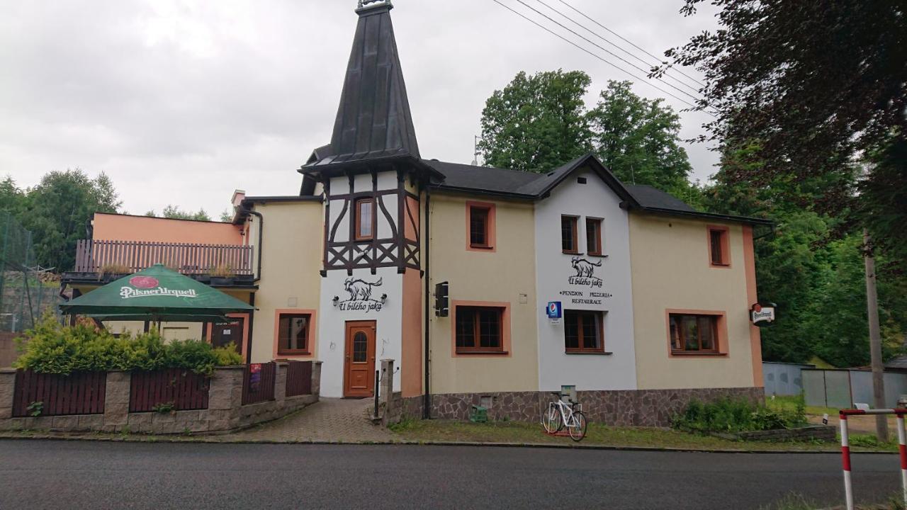 Penzion U Bileho Jaka Vilemov  Exterior photo